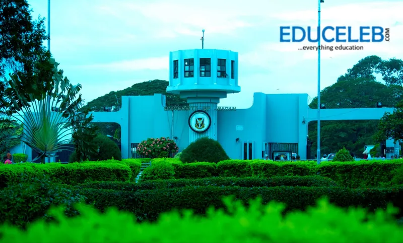 COVID-19: University of Ibadan Adopts Blended Teaching After Three