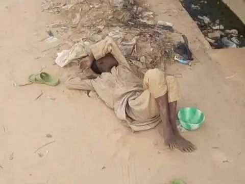 Don Faults Plan to Scrap Almajiri Education, Calls for Reform