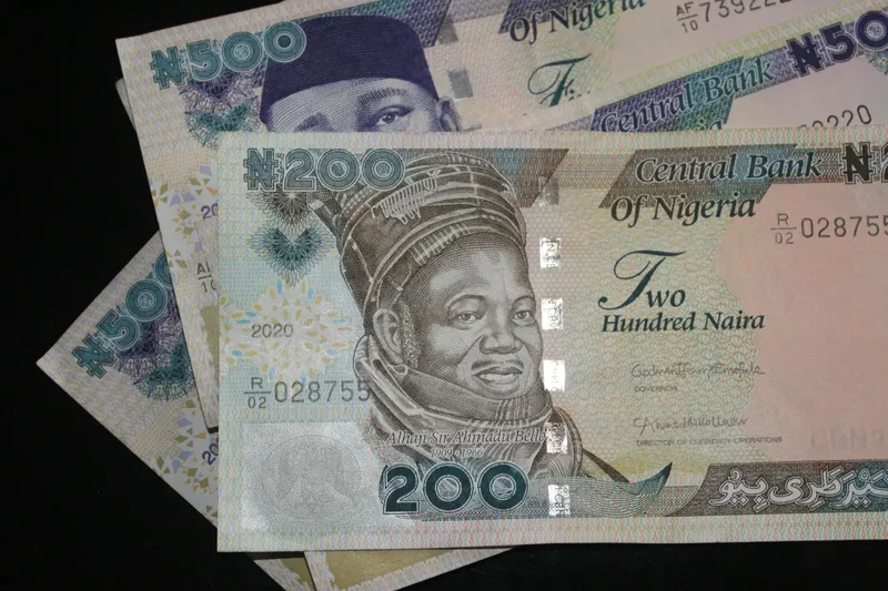 NELFUND Approves 108 Tertiary Institutions for Student Loan Access