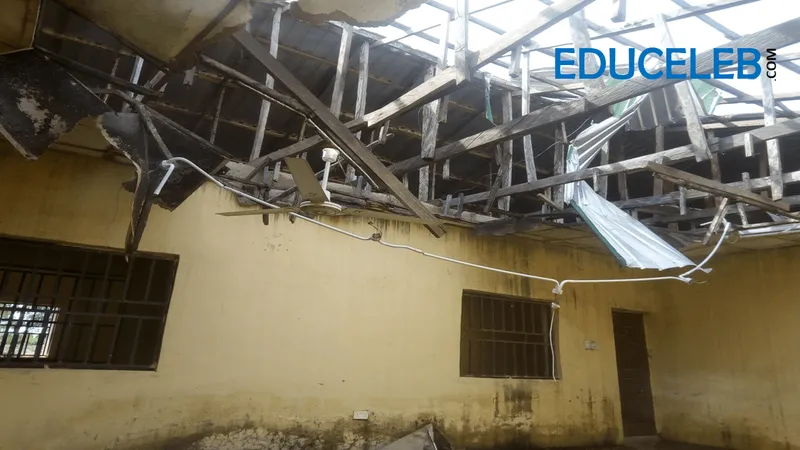 Northern Governors Sabotaged Jonathan's Almajiri Schools, Says Ex-UBEC Chief