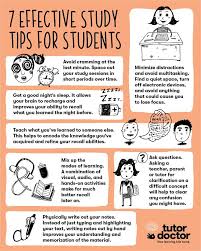 Educational Insights